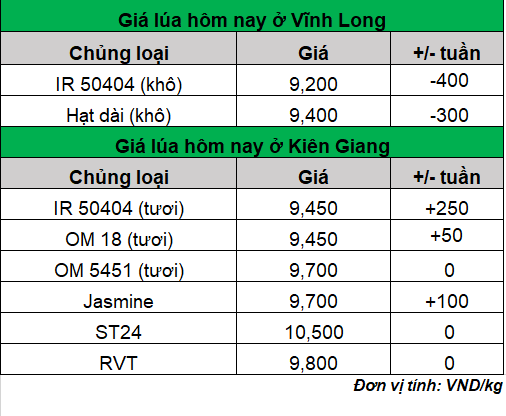 giá lúa hôm nay ngày 16-2-2024_1708050398.png